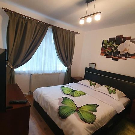Apartament Cosbuc Baia Mare Exterior photo