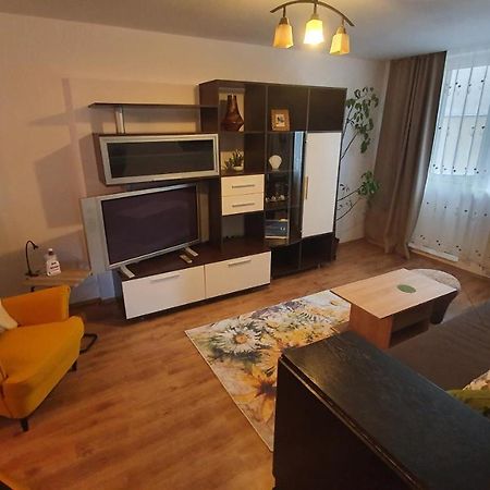 Apartament Cosbuc Baia Mare Exterior photo