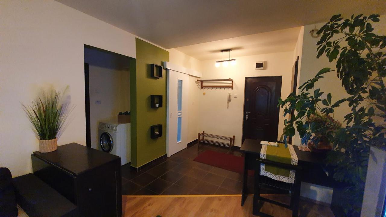 Apartament Cosbuc Baia Mare Exterior photo