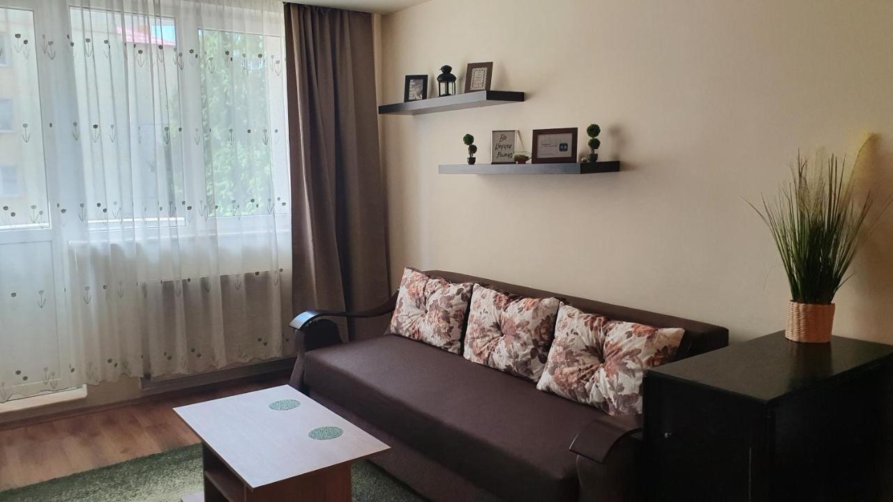 Apartament Cosbuc Baia Mare Exterior photo
