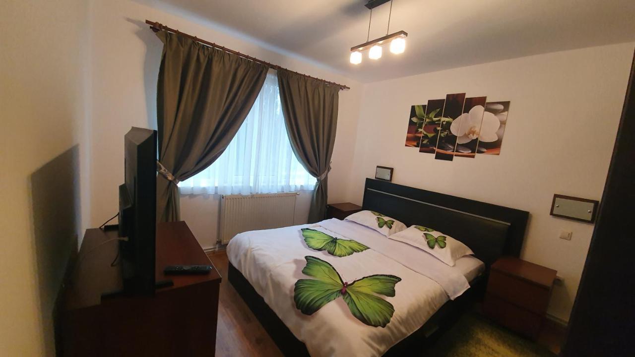 Apartament Cosbuc Baia Mare Exterior photo