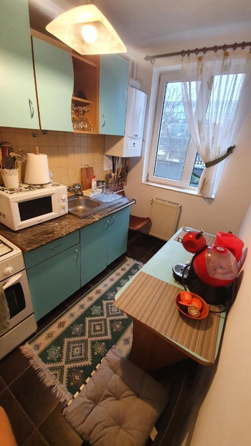 Apartament Cosbuc Baia Mare Exterior photo